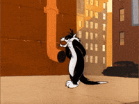Frustrated Black Cat GIF by Looney Tunes