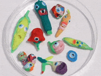 Stop-Motion Animation GIF by Omer Gal