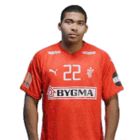 Emhh2020 Sticker by TV 2