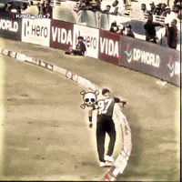 king_56 king56x7 haris babar world harish rauf GIF