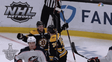 happy ice hockey GIF by NHL