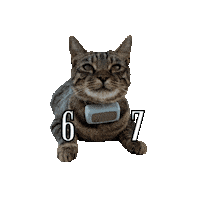 6 7 Whatever Sticker