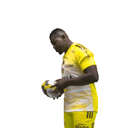 Paiva Sticker by Stade Rochelais