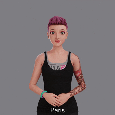 Paris Avatar GIF by Sign Time - SiMAX