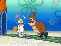season 3 GIF by SpongeBob SquarePants