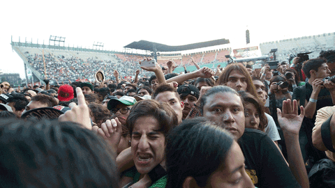 furiosas GIF