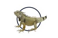Machala Seduc Sticker by UEPRIM