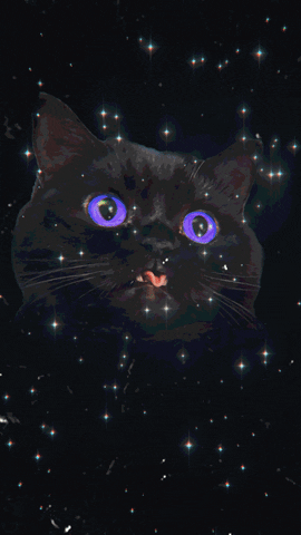 the_real_theory cat space stars eyes GIF