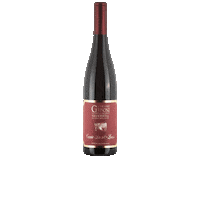 St Louis Wine Sticker by Grillette