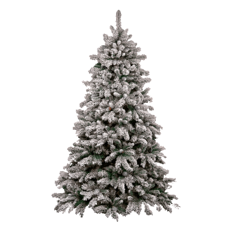 Feshemebel giphyupload christmas newyear christmastree Sticker