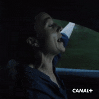 Fun Car GIF by CANAL+