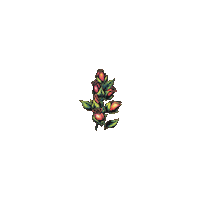 Flowers Buds Sticker by Future Harvest