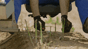 bbc two cooking GIF by BBC