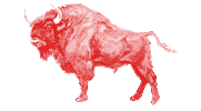 bison poland Sticker by Facebook Polska