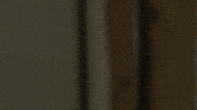 Beetle GIF by Limebug VW