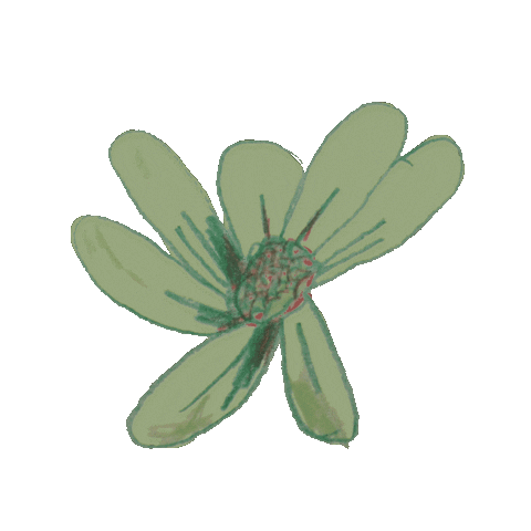lucie_lev giphyupload happy dance flower Sticker