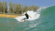 Kelly Slater Wave GIF by ABC Network