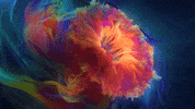 doxiastudio nft relax body meditation GIF