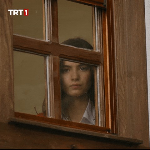 Look Window GIF by TRT
