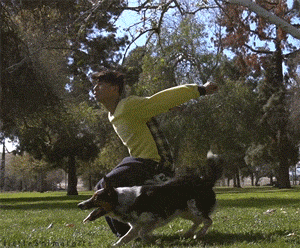 Video gif. In the middle of a sunny park, a boy and a dog synchronously backflip in the air and land perfectly on their feet.