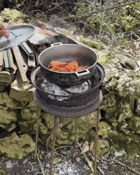 Fried Chicken GIF