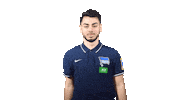 Fifa Sticker by Hertha BSC