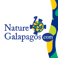 NatureGalapagos nature baile ecuador turtle Sticker