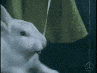 open knowledge art GIF by Okkult Motion Pictures