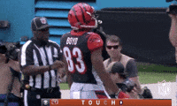 2018 Nfl Football GIF by NFL