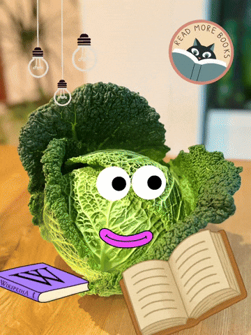 Book Lesen GIF