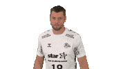 Handball-Bundesliga Handball Sticker by LIQUI MOLY HBL