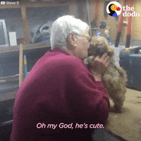 surprise puppy GIF by The Dodo