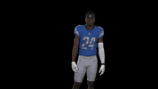 Football No GIF by Detroit Lions