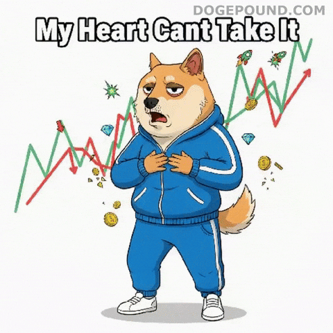To The Moon Omg GIF by Doge Pound