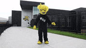 Wu_Shock dance wsu wu wushock GIF
