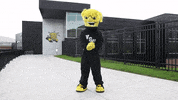Wu_Shock dance wsu wu wushock GIF