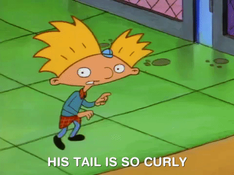 heyarnold giphydvr nicksplat hey arnold giphyha016 GIF