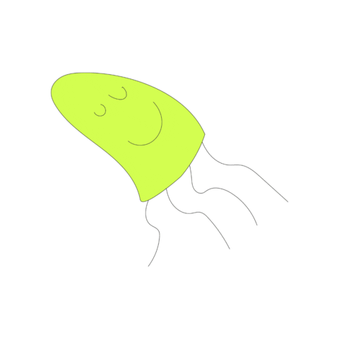Jellyfish Sticker by Appel à Tous