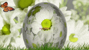 Greeting Cards Easter GIF by echilibrultau