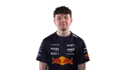 Red Bull Sr Sticker by Oracle Red Bull Racing