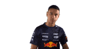 Red Bull Sr Sticker by Oracle Red Bull Racing