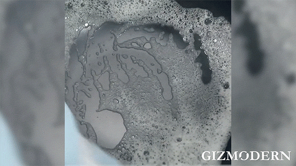 GizModern giphyupload GIF