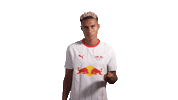 Red Bull Magic Sticker by RB Leipzig