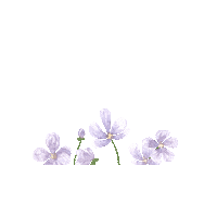 Garden Daisy Sticker