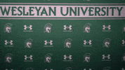 Iwuwvb24 GIF by iwusports