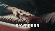 lesnina rawr hud seksi arrr GIF