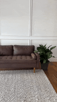 Home Decor GIF by Burman Photography