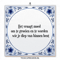 Reflectie Verandering GIF by Tegelspreuken.nl