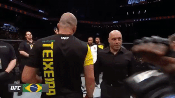 jared cannonier ufc GIF