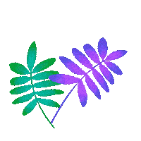 Fall Colors Sticker